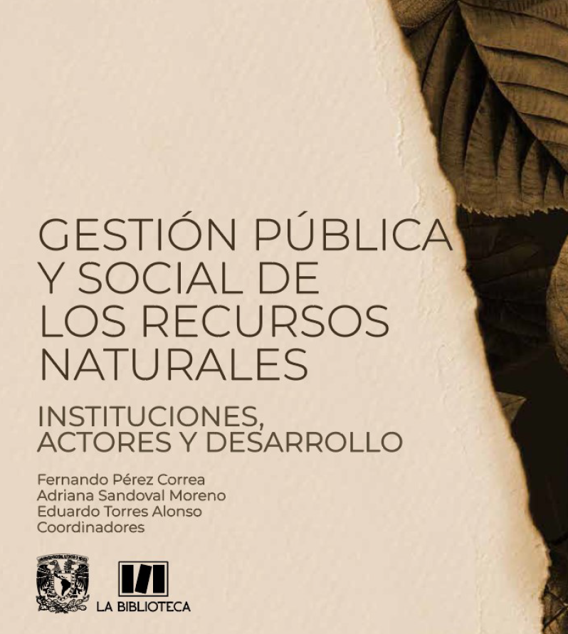 Portada de GESTIÓN PÚBLICA Y SOCIAL DE LOS RECURSOS NATURALES