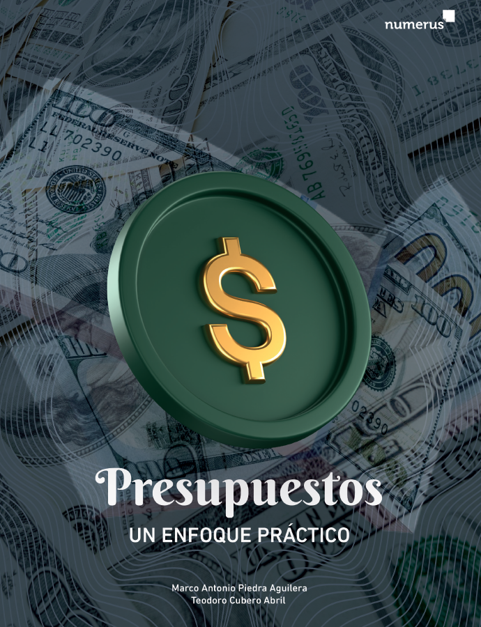Portada de PRESUPUESTOS UN ENFOQUE PRÁCTICO