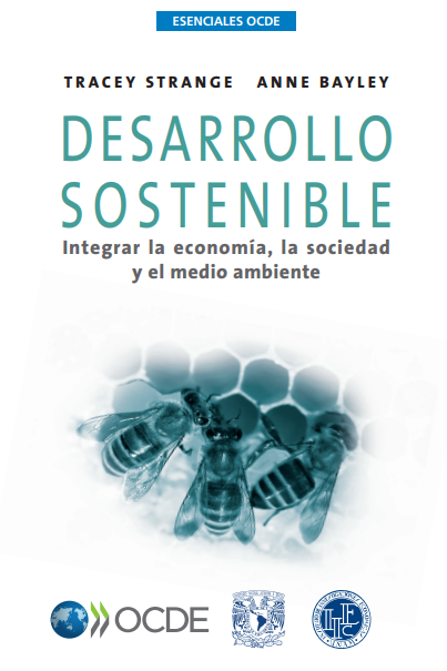Portada de DESARROLLO SOSTENIBLE