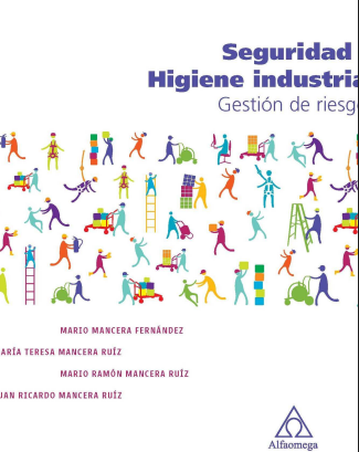 Seguridad e Higiene Industrial: Gestión de Riesgos