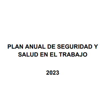 Plan Anual de Seguridad y Salud en el Trabajo (modelo institucional)