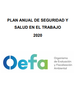 Plan Anual de Seguridad y Salud en el Trabajo 2020